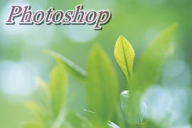 Photoshop@PHp\RGY